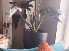 -上岛咖啡(大德店)