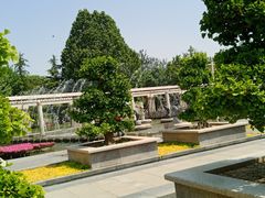 -石家庄市植物园