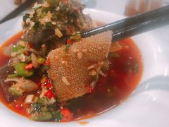 -辣四方新派川菜