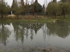 -长田漾湿地公园