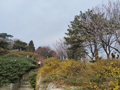 -北京西山国家森林公园