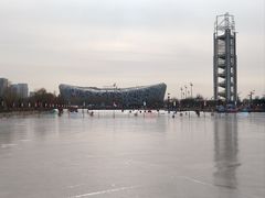 -东方饺子王(新奥购物中心店)