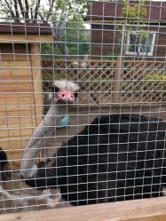 -萌宠亲子动物乐园(槐房万达店)