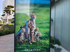 -罗红摄影艺术馆
