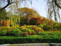 -宜兴龙背山森林公园