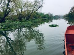 -会仙湿地