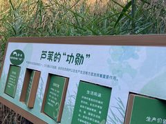 -成都市活水公园