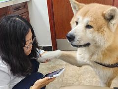 -美联众合动物医院·24h转诊中心