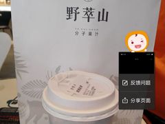 -野萃山·潮汕厚果汁(十亩地店)