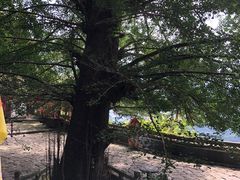 -大慈岩风景区