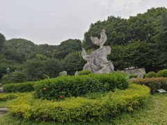 -金鸡山公园