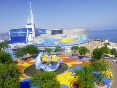-海合安青岛极地海洋公园