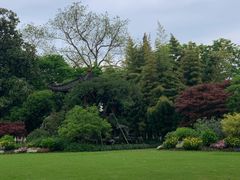 -西湖外事游船(花港观鱼码头)