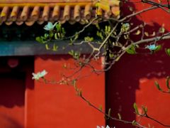 -北京市劳动人民文化宫(太庙)