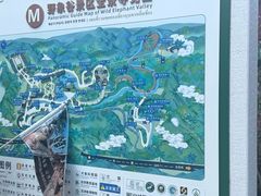 -野象谷景区