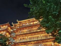 -广州长隆野生动物世界