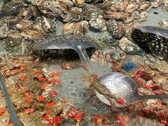 -一方渔歌蒸汽海鲜自助(文化路万达广场店)