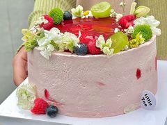 -小淘圆儿·四季口味蛋糕