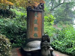 -青城山