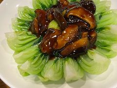 -乔家栅(襄阳南路店)