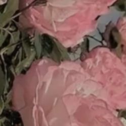 -凡碧诗毛孔收细