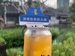 -乌镇景区