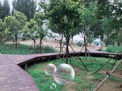 -东郊湿地公园