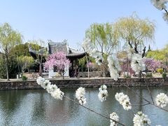 -无锡蠡湖国家湿地公园-蠡园