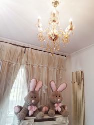 -美肤盾祛痘·问题肌头疗管理中心