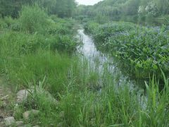 -新江湾城公园