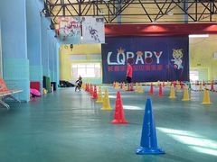 -长春乐奇平衡车儿童体能运动中心