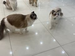 -万达广场(南京江宁店)