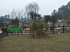 -黄龙溪欢乐田园