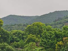 -树山生态村