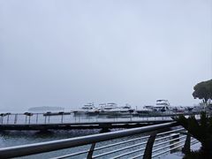 -苏州金鸡湖中茵皇冠假日酒店