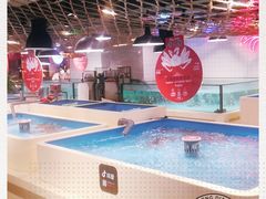 -日进一片海.生腌海鲜火锅.宵夜烧烤(三里屯总店)