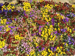 -苏州河梦清园环保主题公园