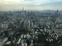 -瑞吉酒店·The Drawing Room闲逸廊·云端下午茶·夜奢Whiskey