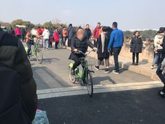 -昆山城市生态森林公园