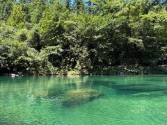 -石台牯牛降景区