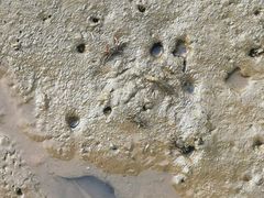 -东寨港红树林旅游区