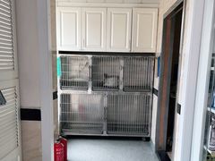 -安安宠医·安宠宠物医院