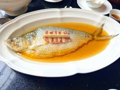 陈年花雕蒸鲥鱼-福1039(愚园路店)