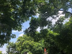 -凤凰沟景区
