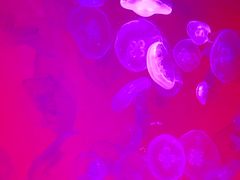 -沈阳海洋探索中心