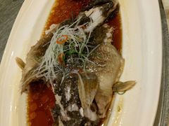 -望乡楼上海菜(日月光店)