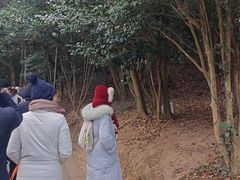 -普陀山风景区-佛顶山