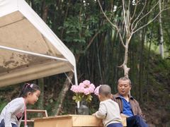 -广州白江湖森林公园