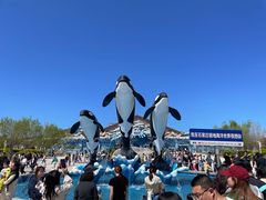 -石家庄市动物园