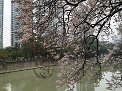 -红星桥(地铁站)
